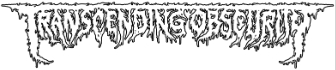 TRANSCENDING OBSCURITY